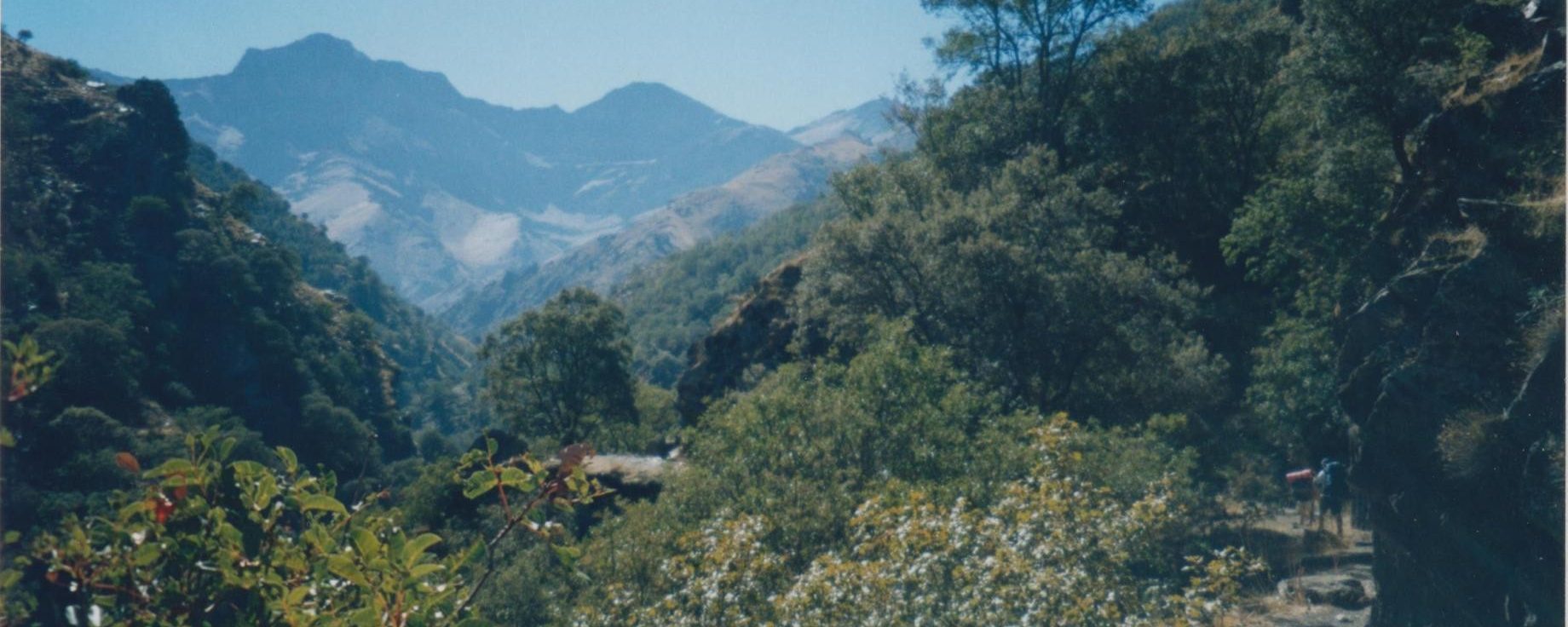 Vereda de La Estrella a la derecha con Alcazaba y Mulhacén al fondo