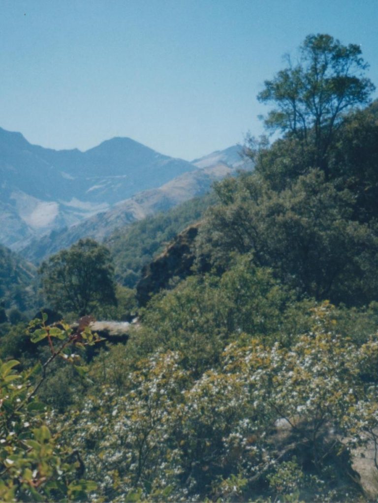 Vereda de La Estrella a la derecha con Alcazaba y Mulhacén al fondo
