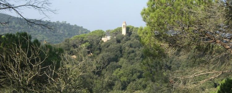 Entre el bosque queda Santa Eulalia de Tapioles
