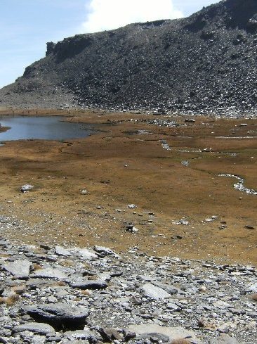 Acercándonos a la Laguna Hondera