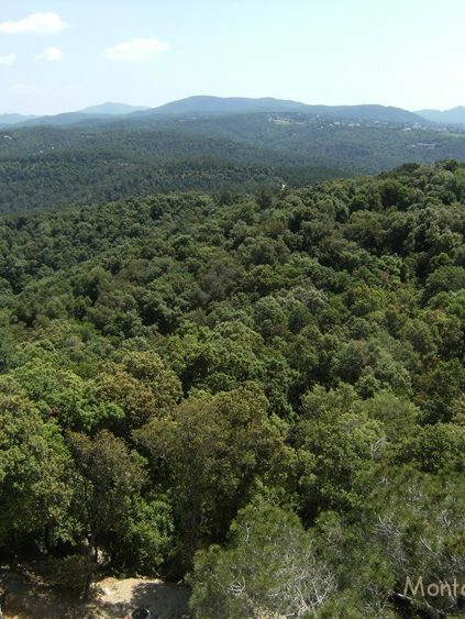 Mirando hacía El Corredor