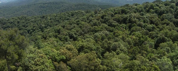 Mirando hacía El Corredor