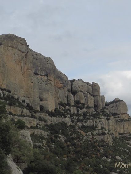 Paredes de La Roca Falconera