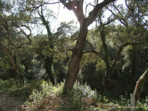Bajando a Santa Coloma de Farners
