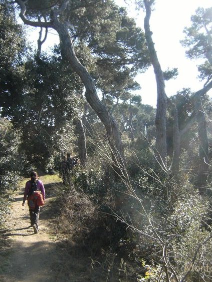 Subiendo al Tibidabo