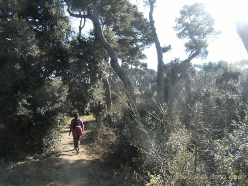 Subiendo al Tibidabo