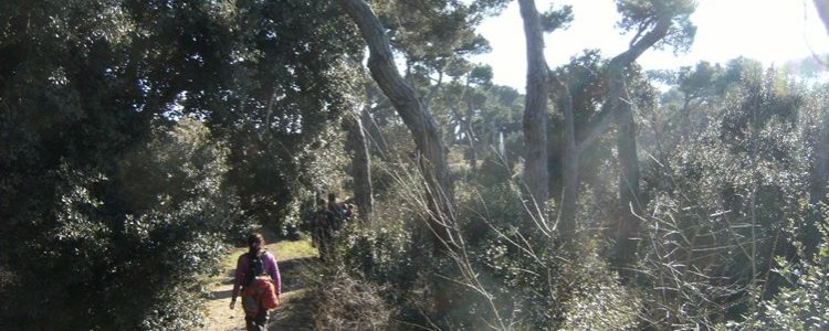 Subiendo al Tibidabo