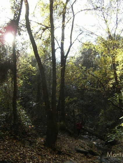 Alrededores del Salt