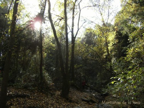 Alrededores del Salt
