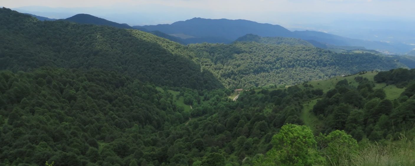 Vistas del valle de la Riera de Milany y al fondo Bellmunt