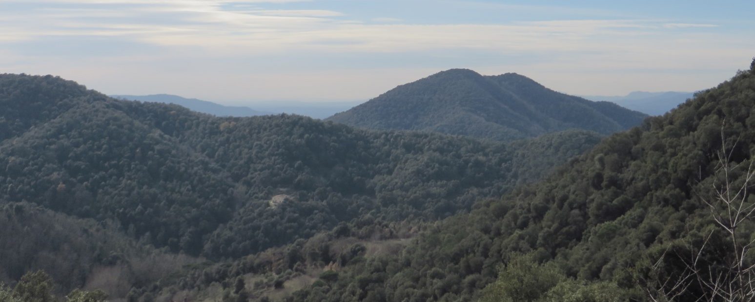 Can Cases abajo y Montllorer al fondo