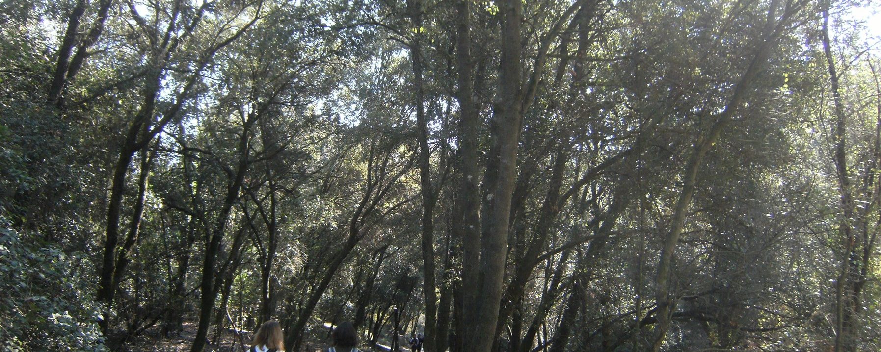 Anna y Raquel camino de Can Codina