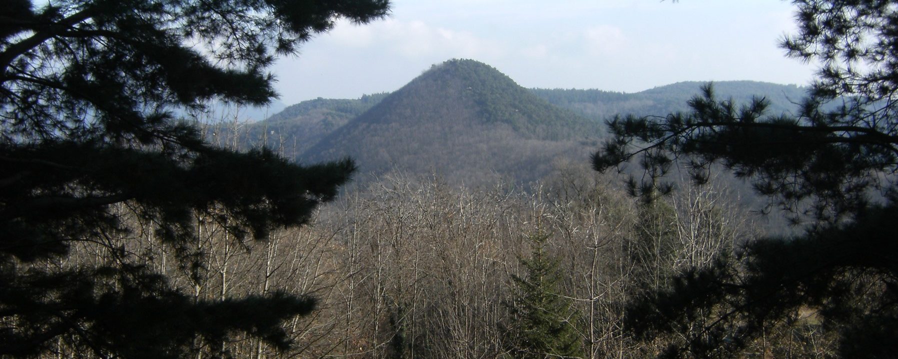 Turó de Montfort en el centro