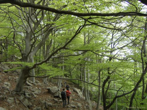 Camino de Can Gat por el vallecillo del Torrent del Rentadors