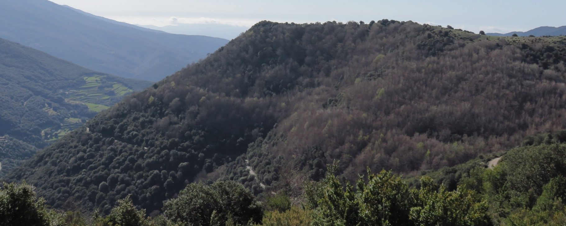 El Cucurull en la loma del Puigventós