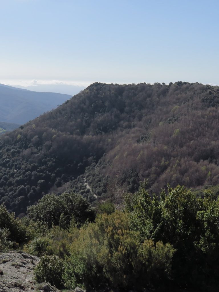 El Cucurull en la loma del Puigventós