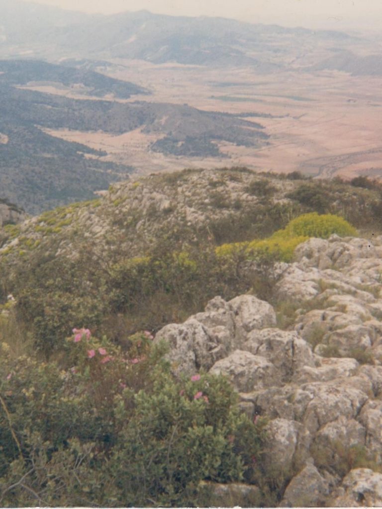 Miguel Ángel en la cima de la Peña Gorda, 1.087 mts.