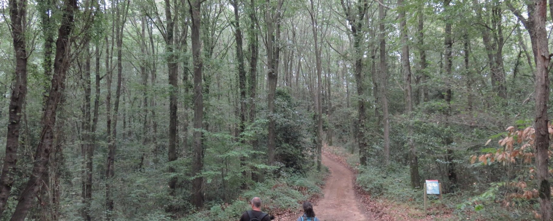 La Roureda i Faigs d’en Preses