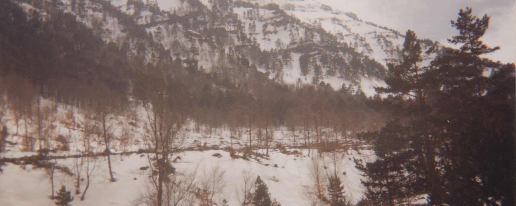 Arriba el pico Zorraquín