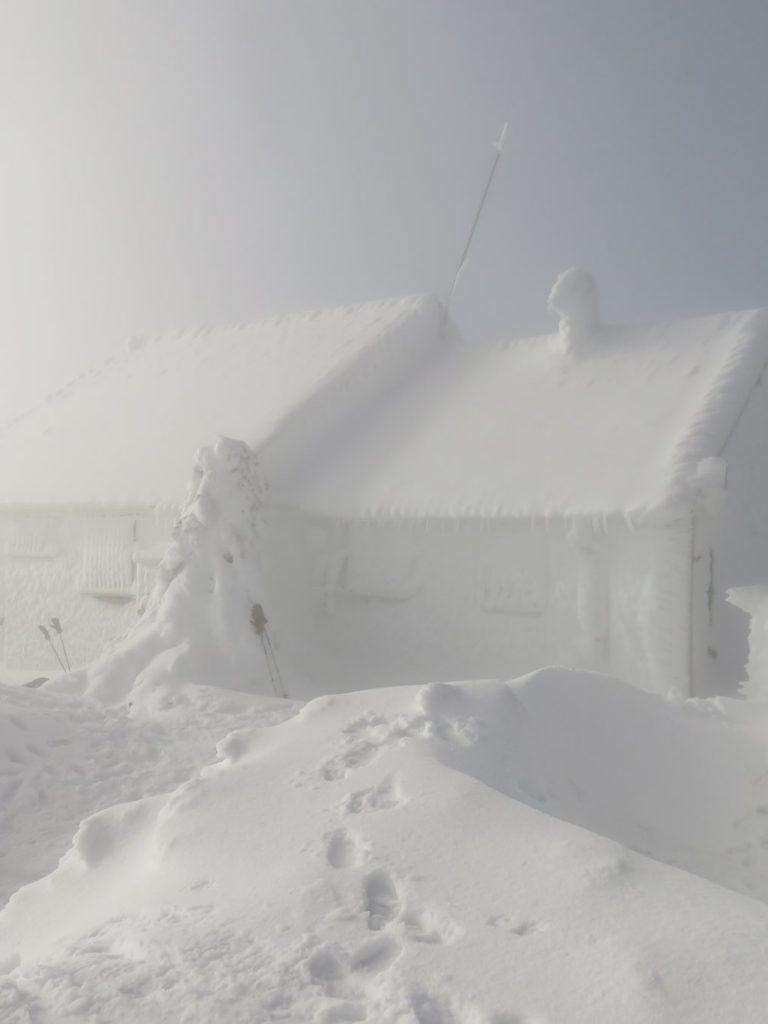 Cima del Turó de l’Home, 1.706 mts.