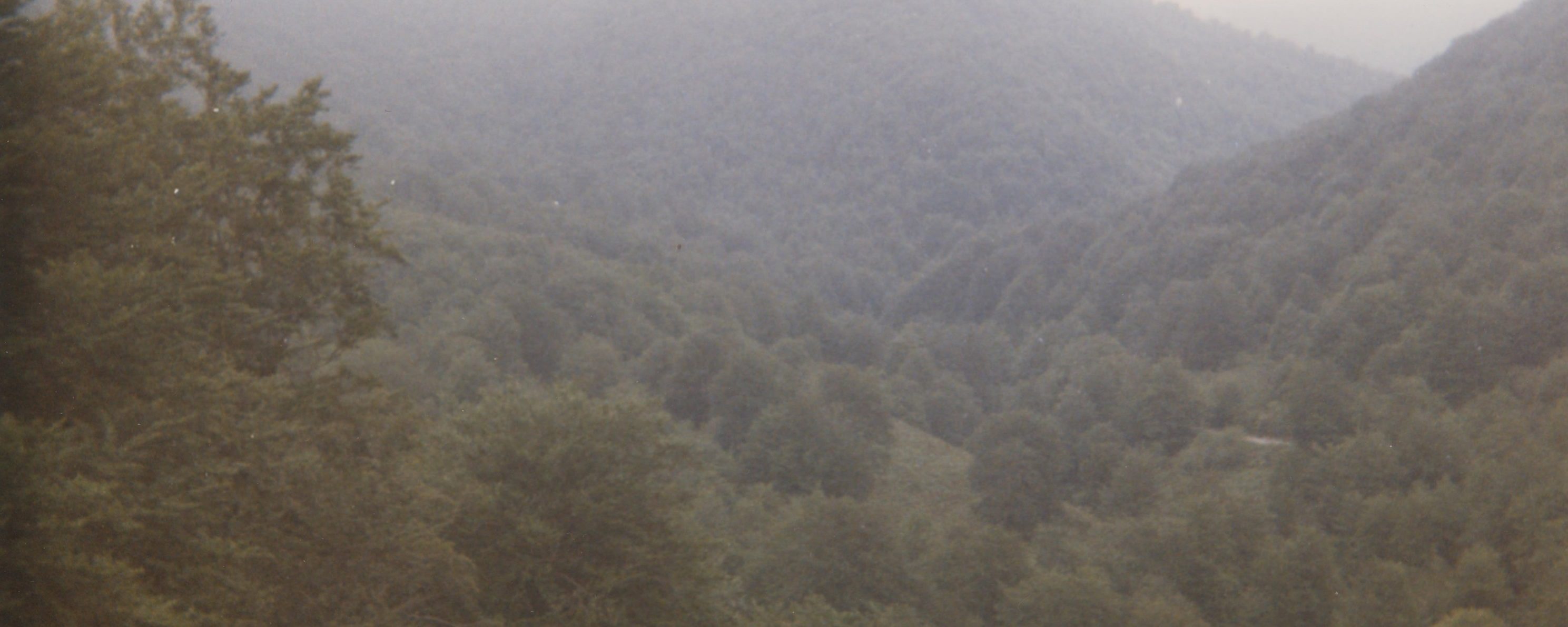 Selva de Iraty entorno al Collado Mozolo