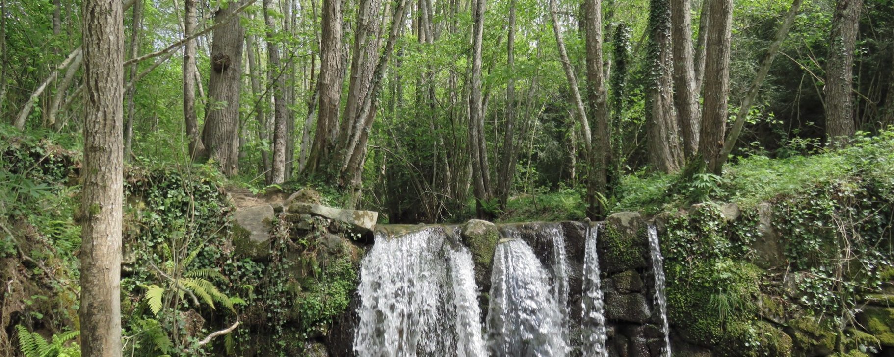 La Riera Major en el Molí de Baix
