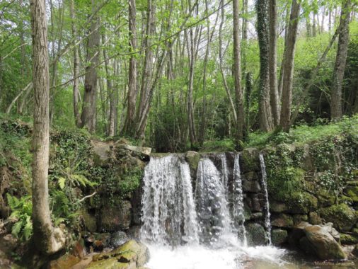 La Riera Major en el Molí de Baix