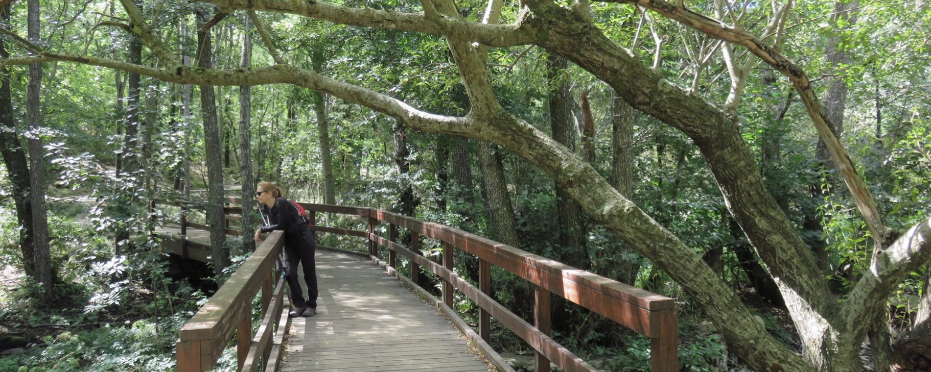 Cercanías de Santa Fe