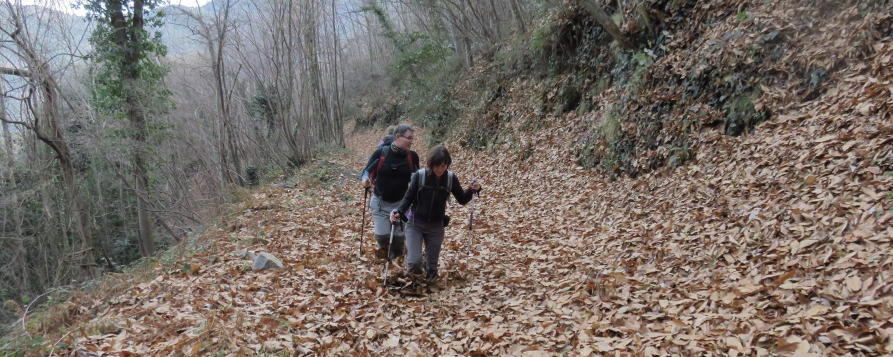 Raquel y Alberto hundiéndose en la hojarasca