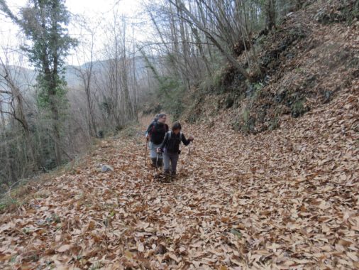 Raquel y Alberto hundiéndose en la hojarasca