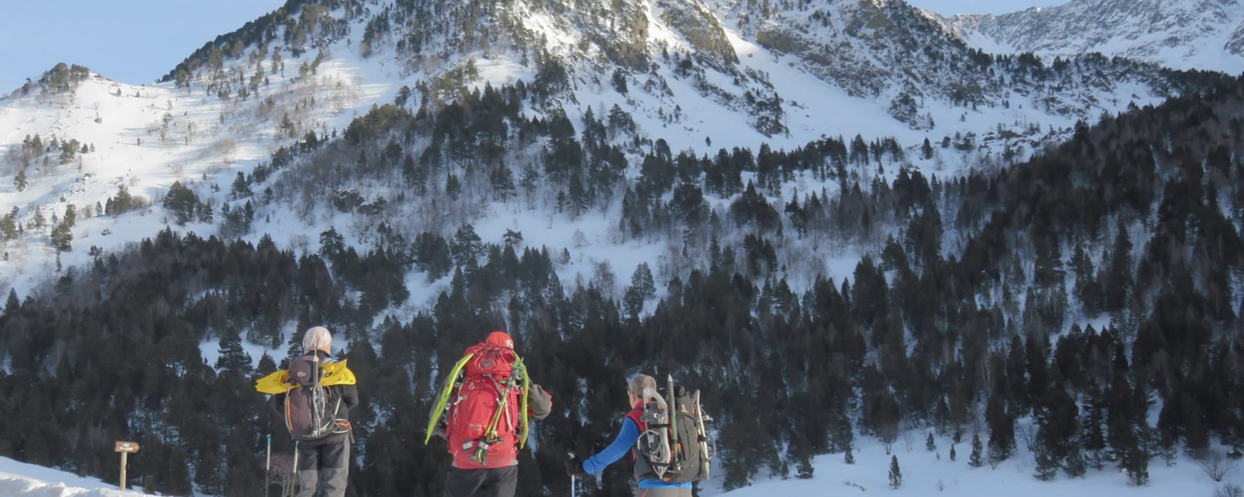 Mirando hacia el Serrat del Roc del Rellotge, camino de subida al Pic de l’Estanyó