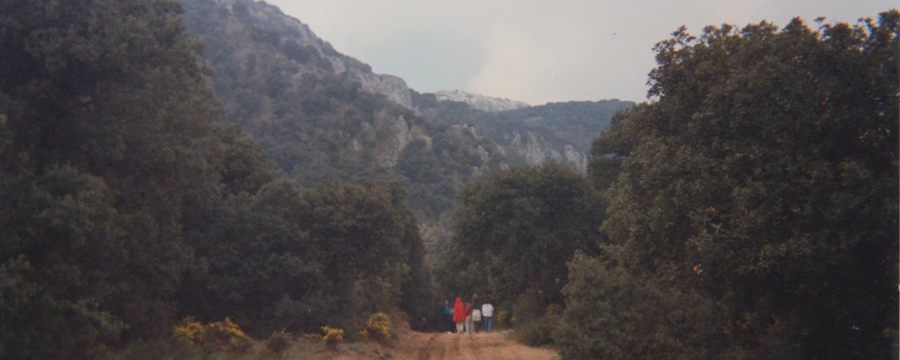 Camino del Mas de Tetuan desde La Font Roja