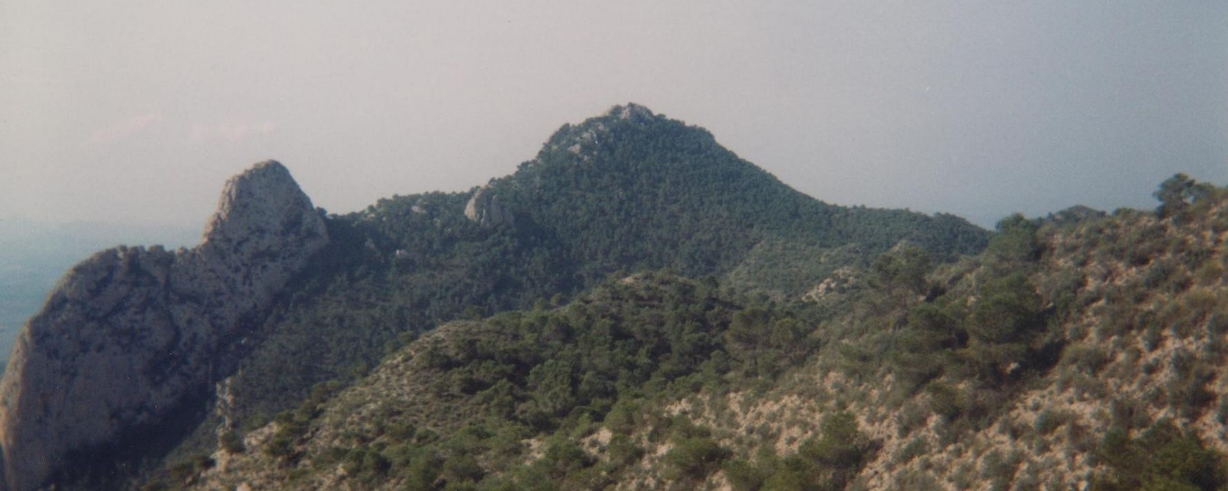 El Zulum camino del Agudo. En la travesía Abanilla-Crevillente del 29 de marzo.