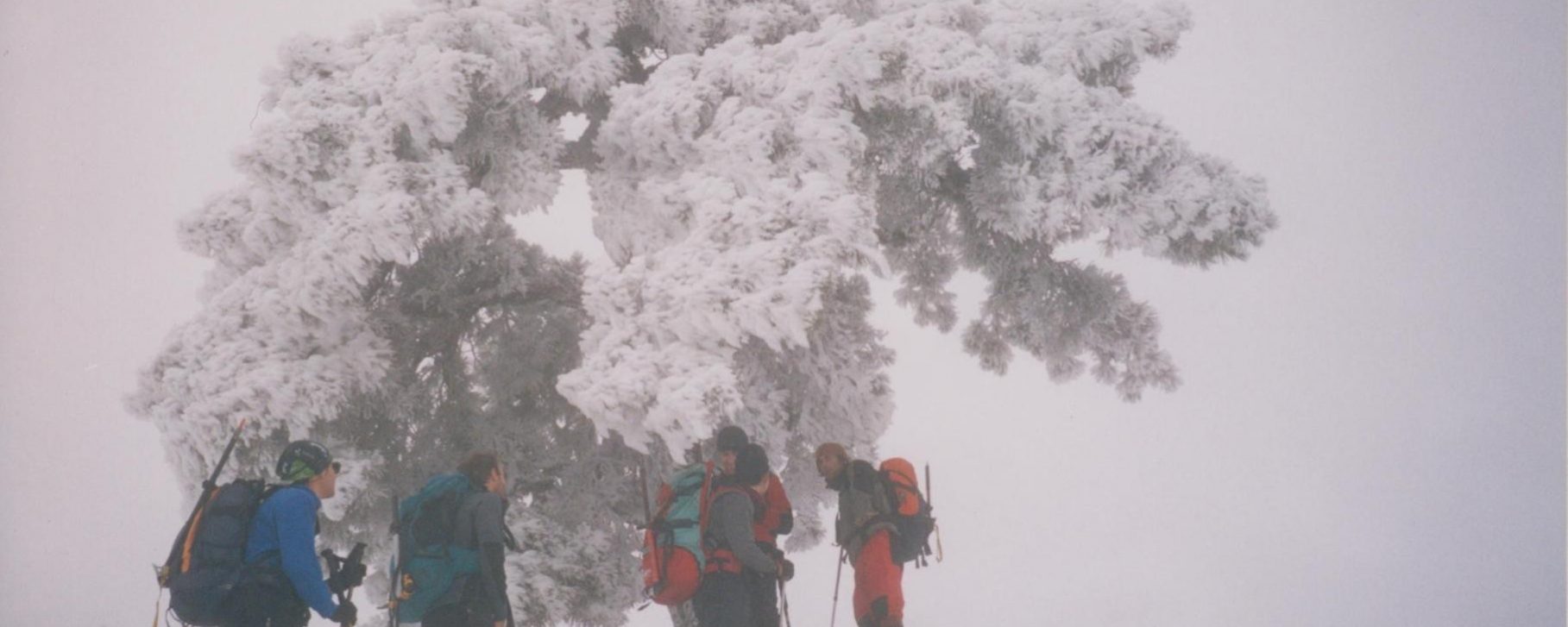 De izquierda a derecha: Quique, Javi, Jesús Santana, José Ángel y Fernando Pérez subiendo por la ladera este de La Sagra