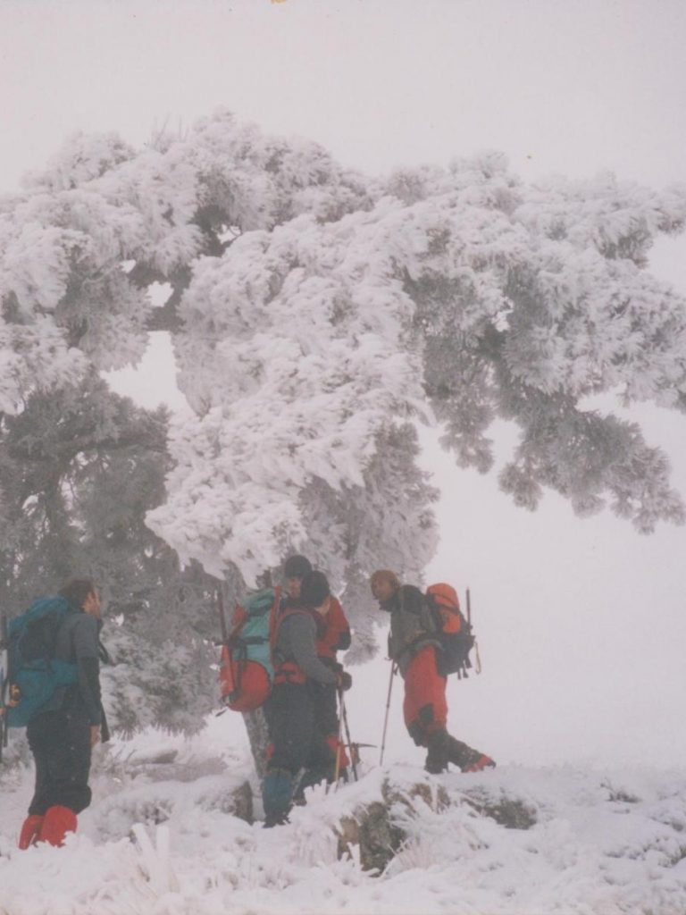 De izquierda a derecha: Quique, Javi, Jesús Santana, José Ángel y Fernando Pérez subiendo por la ladera este de La Sagra
