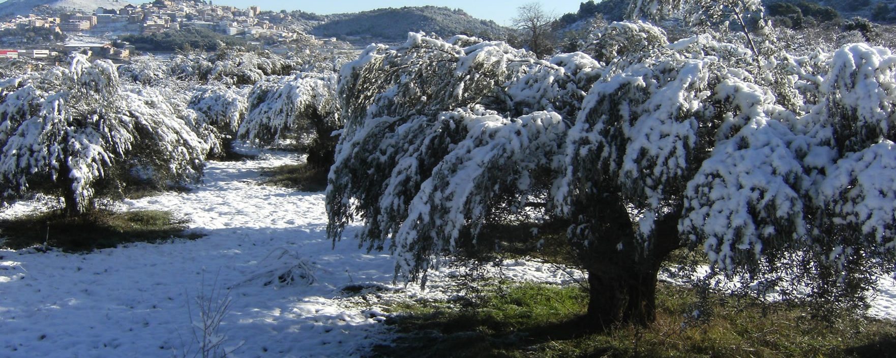Camino del Mas del Perolit. Atrás queda Bañeres de Mariola