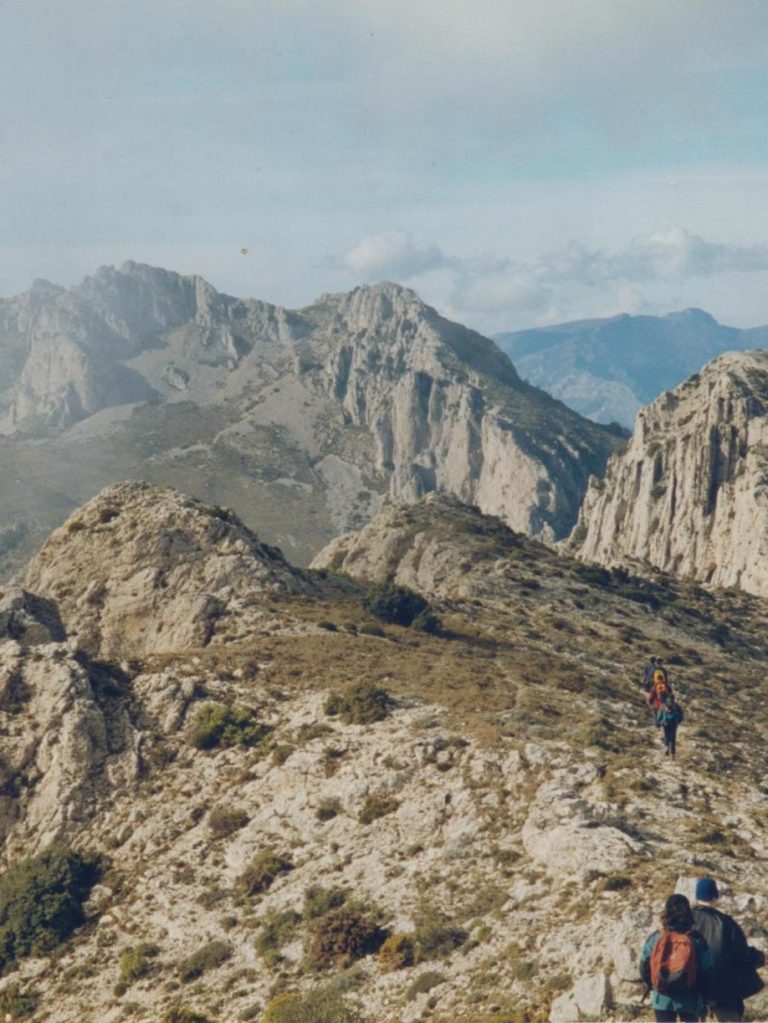 Camino del Pla de La Casa desde La Mallada del Llop, dicho pico delante, al fondo derecha Sierra Mariola con El Montcabrer su pico más alto, y delante a la derecha Regall
