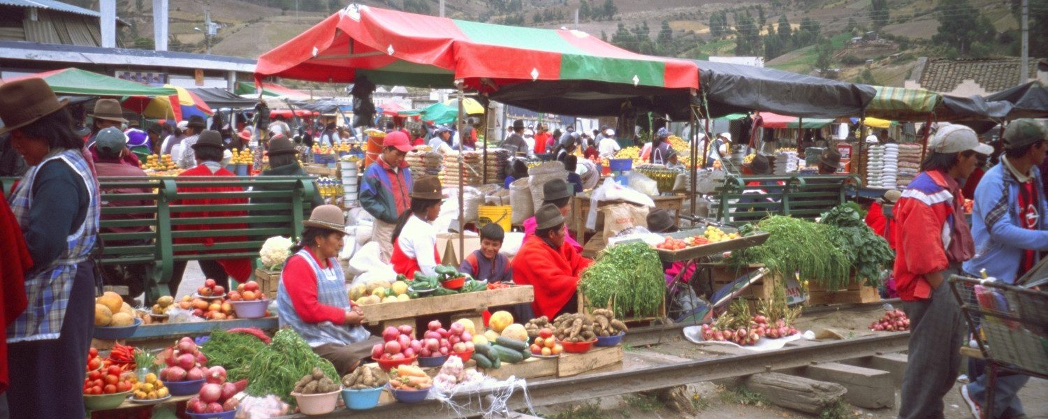 Puestos de frutas y hortalizas en las inutilizadas vías del tren en Guamote