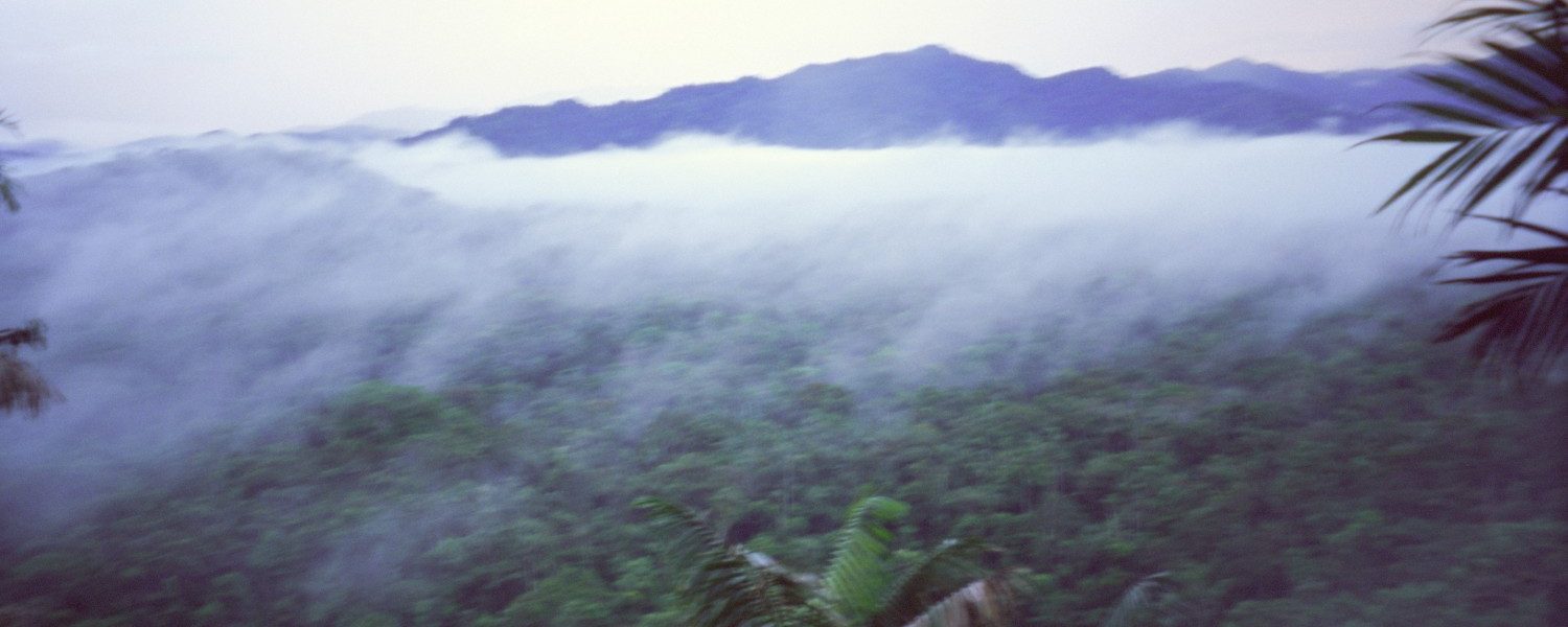 Niebla y mal tiempo desde el mirador a la selva, a la Reserva de Nantar