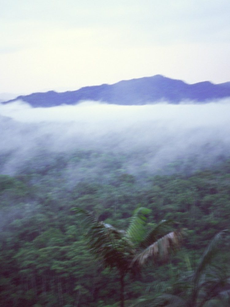 Niebla y mal tiempo desde el mirador a la selva, a la Reserva de Nantar
