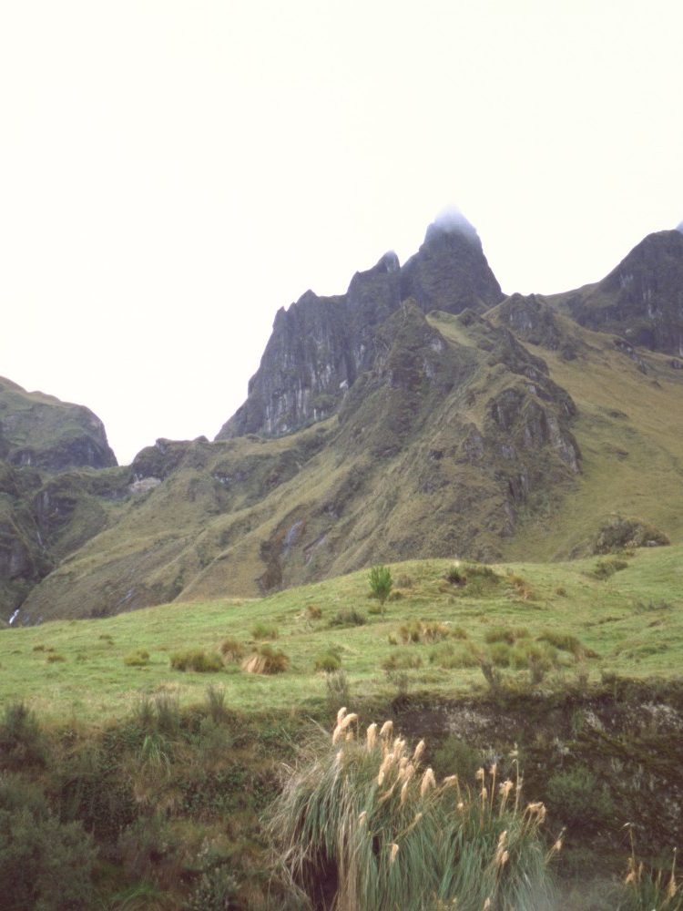 Cerca de las Lagunas de Atillo en el P.N. Sangay
