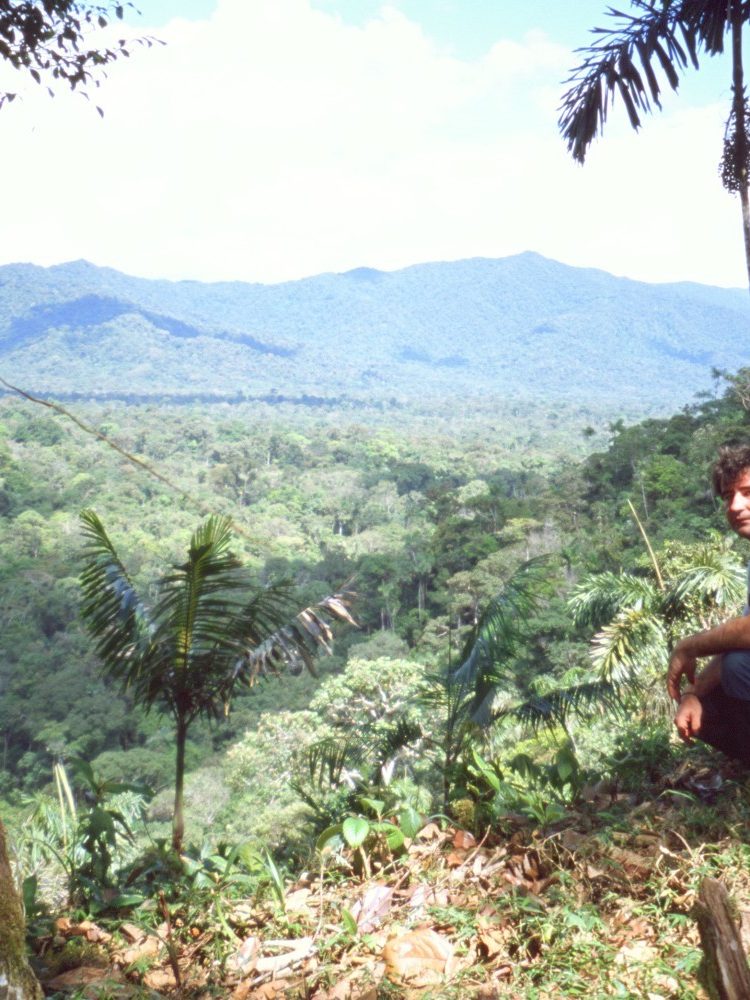 Joaquín en el mirador a la selva, hacia la Reserva de Nantar