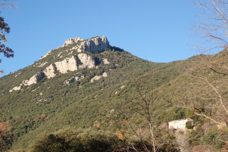 53404242364_5859b4b845_k