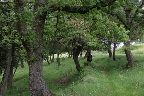 53799762837_577f3d7c39_k